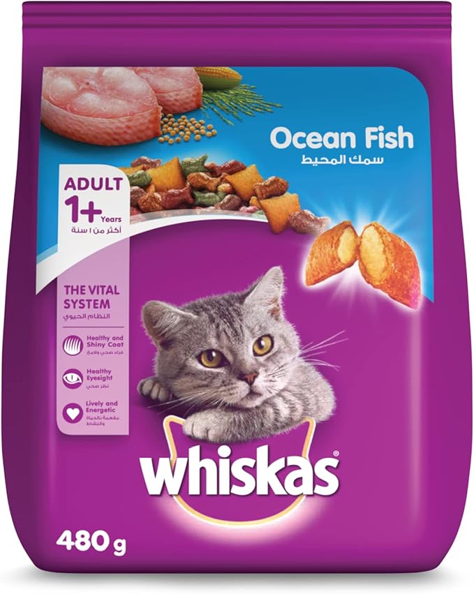 Whiskas Adult Ocean Fish Complete Nutrition Dry Cat Food – 480 g | Balanced Daily Diet for Adult Cats