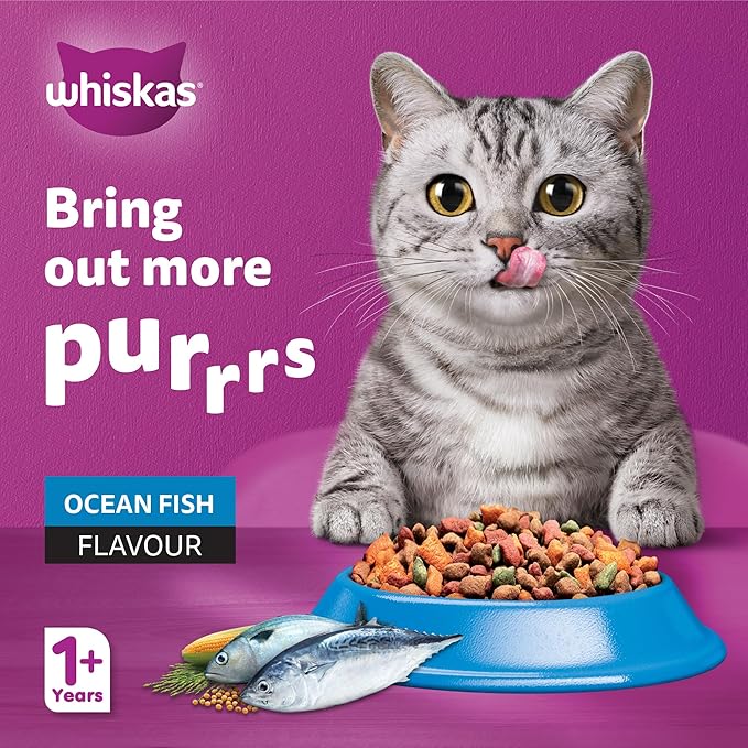 Whiskas Adult Ocean Fish Complete Nutrition Dry Cat Food – 480 g | Balanced Daily Diet for Adult Cats