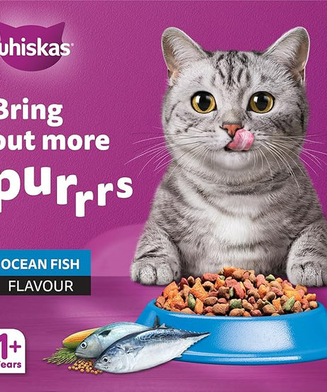 Whiskas Adult Ocean Fish Dry Cat Food – 1.2 kg | Complete & Balanced Nutrition for Active Cats
