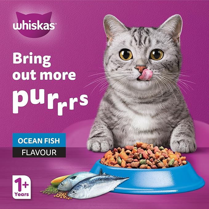 Whiskas Adult Ocean Fish Dry Cat Food – 1.2 kg | Complete & Balanced Nutrition for Active Cats