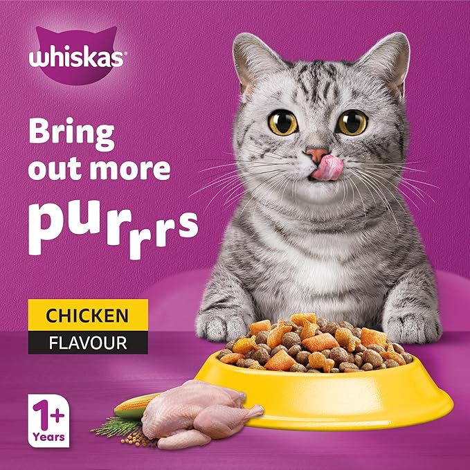 Whiskas Adult Chicken Healthy & Active Dry Cat Food – 480 g | Complete Nutrition for Adult Cats