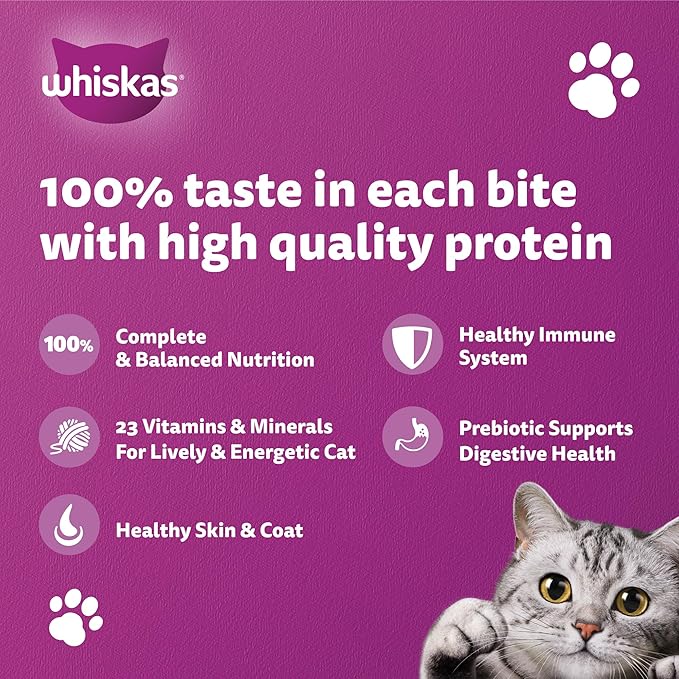 Whiskas Adult Ocean Fish Complete Nutrition Dry Cat Food – 480 g | Balanced Daily Diet for Adult Cats