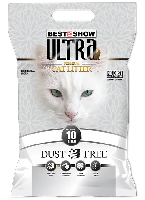 Best In Show Cat Litter — Ultra Premium 10 L | Clean, Fresh & Easy to Scoop - AL BAYTARA