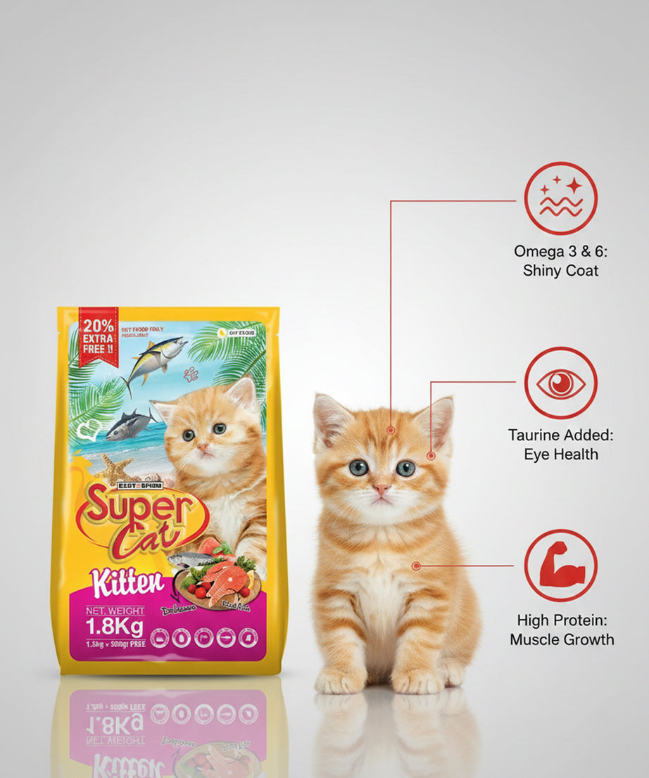 Super Cat Dry Kitten Food — 1.8 kg | Complete Balanced Nutrition for Growing Kittens