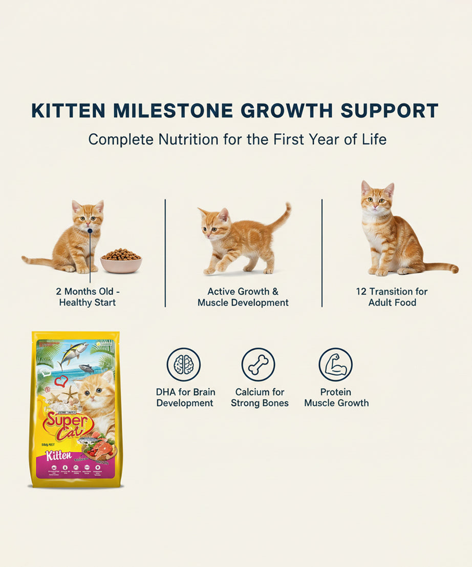 Super Cat Dry Kitten Food — 500 g | Complete Nutrition for Growing Kittens