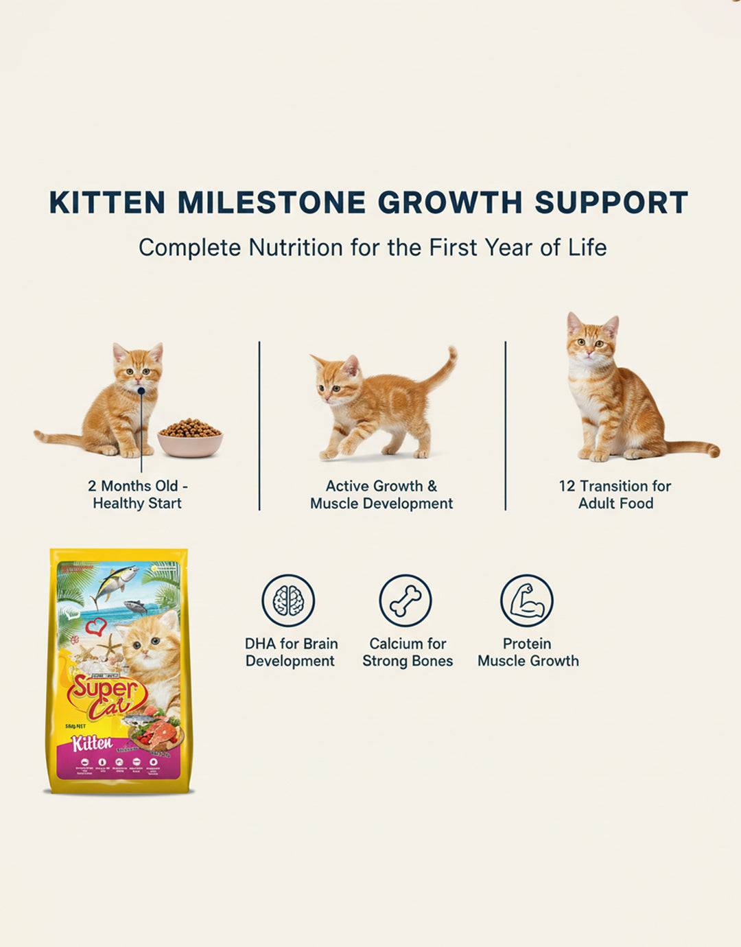 Super Cat Dry Kitten Food — 500 g | Complete Nutrition for Growing Kittens