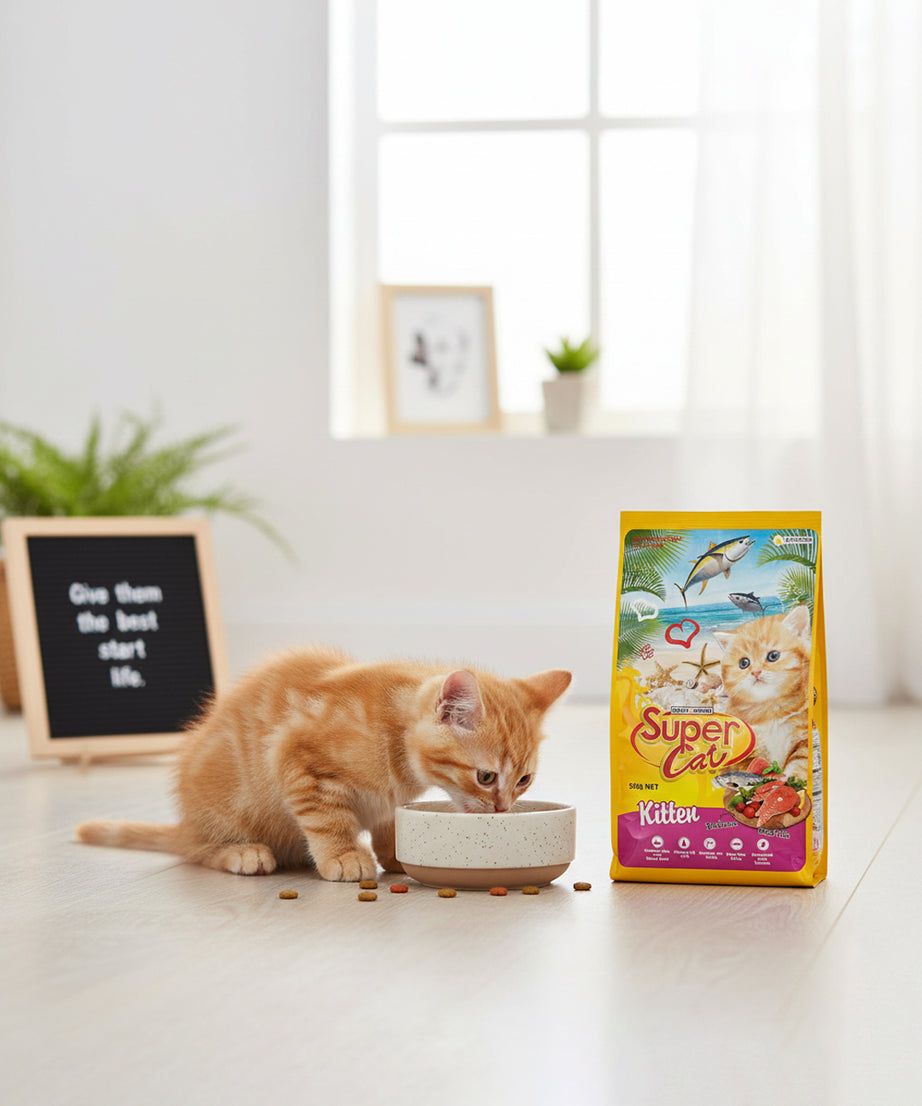Super Cat Dry Kitten Food — 500 g | Complete Nutrition for Growing Kittens